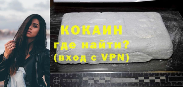 молекула духа Бородино