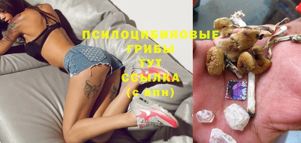 гашик Верхний Тагил