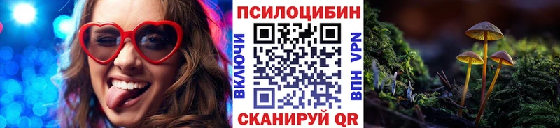 Купить где  Юрьев-Польский  Галлюциногенные грибы Cubensis 